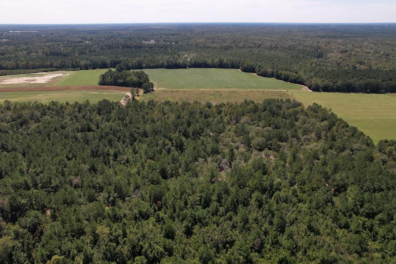 Evergreen, NC 39.7 acres Land and Farms Realty